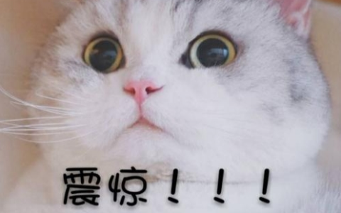 家庭裝修污染嚴重，超九成新裝住房甲醛超標！