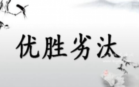 除甲醛行業入行門檻低，但你真的可以生存下去嗎？