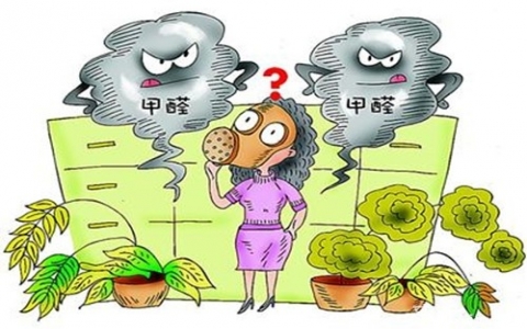 室內除甲醛最有效的方法是什么？