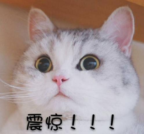 企業(yè)微信截圖_16160376755537